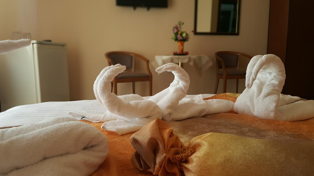 Hotel Casa Alex Târgu Jiu Pokoj fotografie